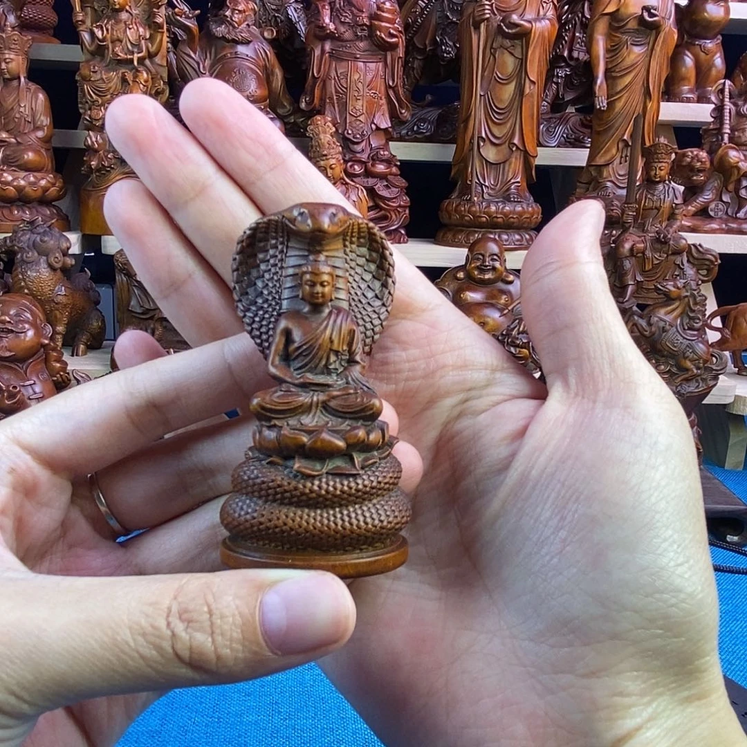 黄杨木小叶黄杨木