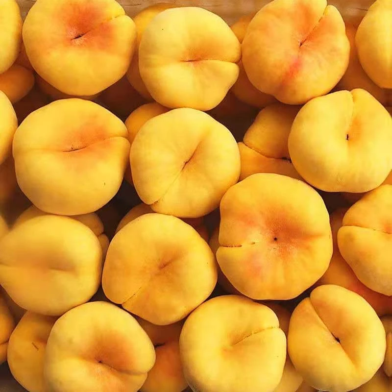 【京东快递】 蒙阴蜜桃山东蒙阴蟠桃黄金毛蟠桃扁桃黄肉桃子