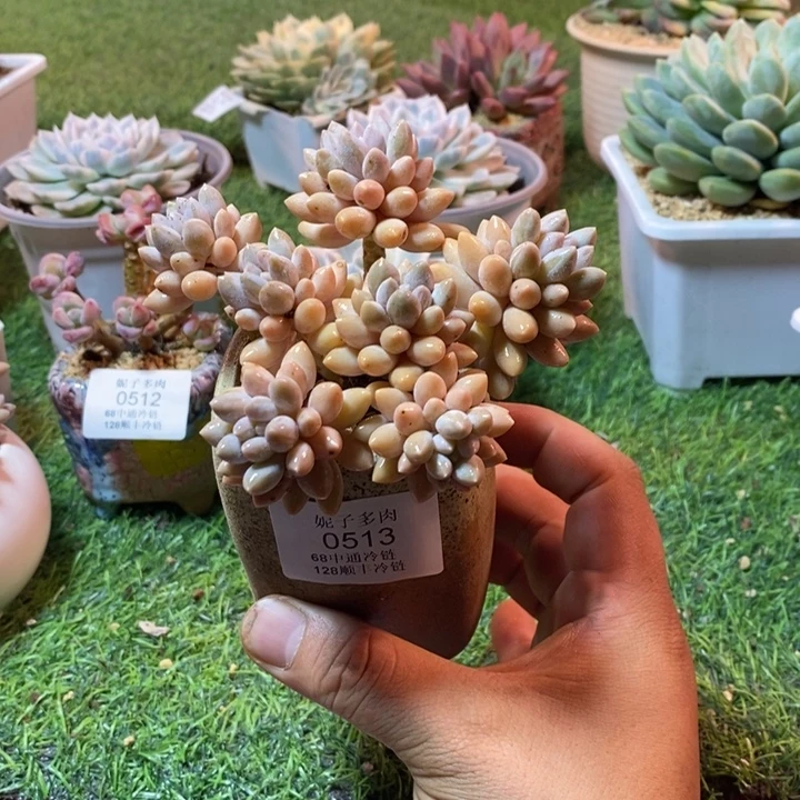 0513啊啊啊啊啊啊啊啊啊啊啊啊