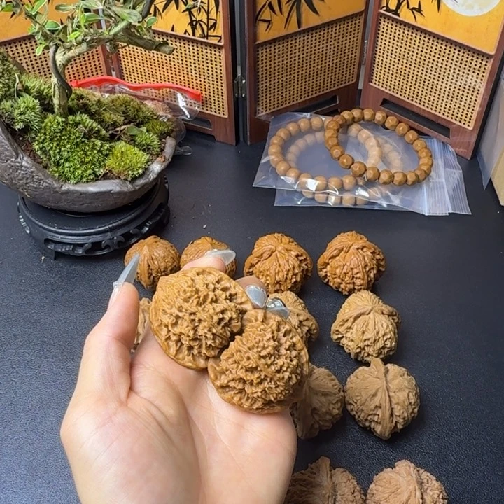 -***.龙脊菩提把件满天星39+