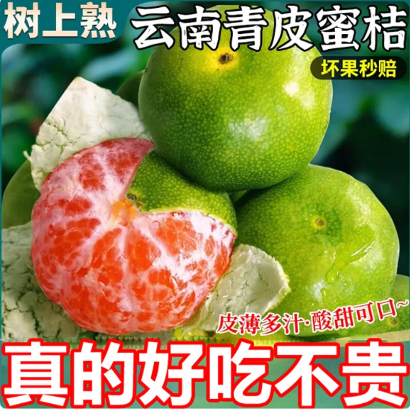 云南当季新鲜青皮蜜桔酸甜多汁薄皮无籽孕妇水果一整箱小青桔