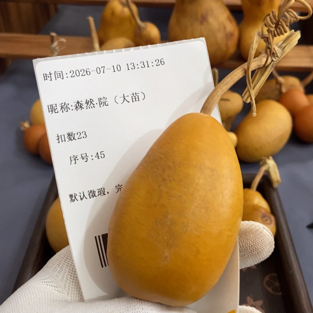 森****）哈哈哈哈哈哈哈