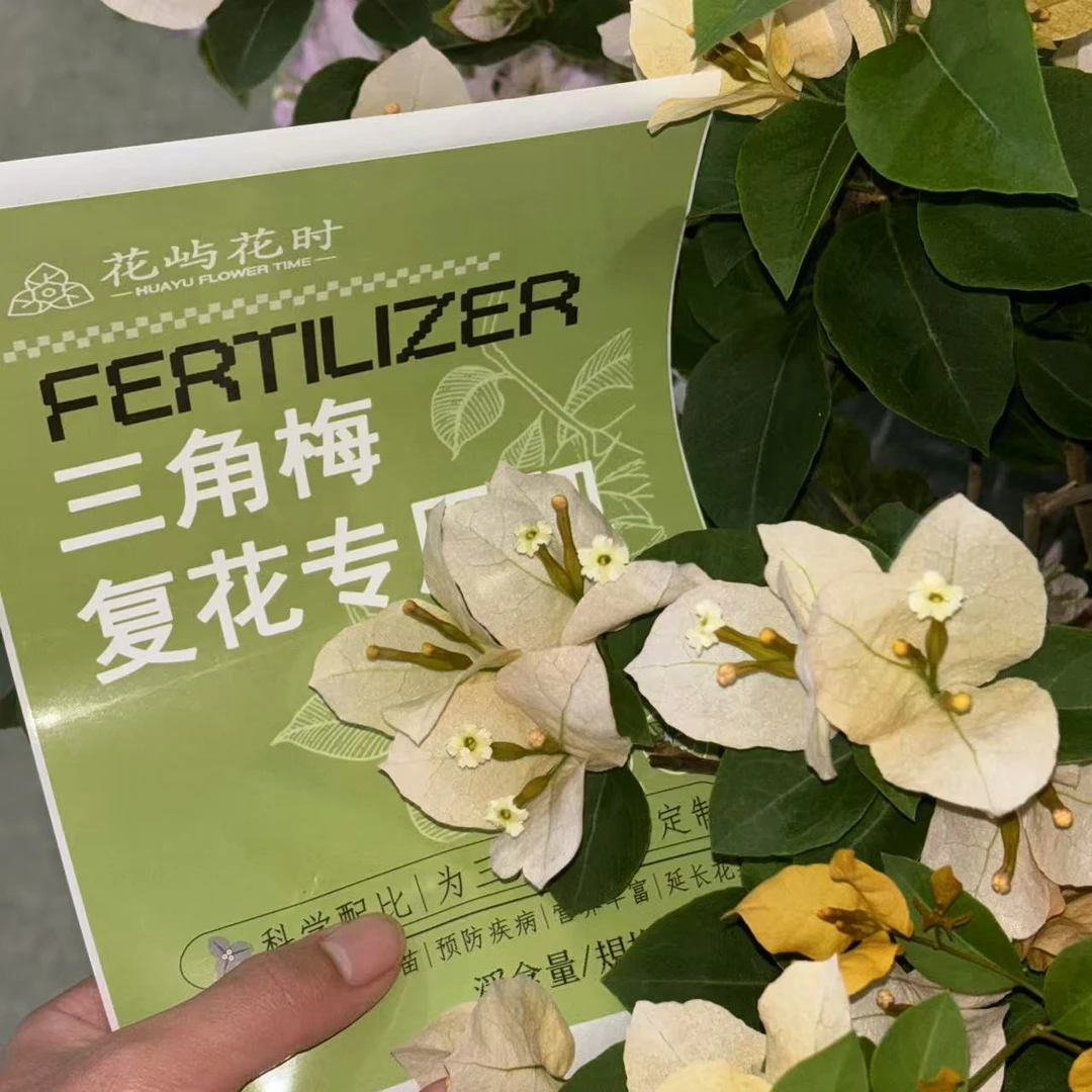 专用肥！三角梅花卉绿植四季开 花专属肥撂