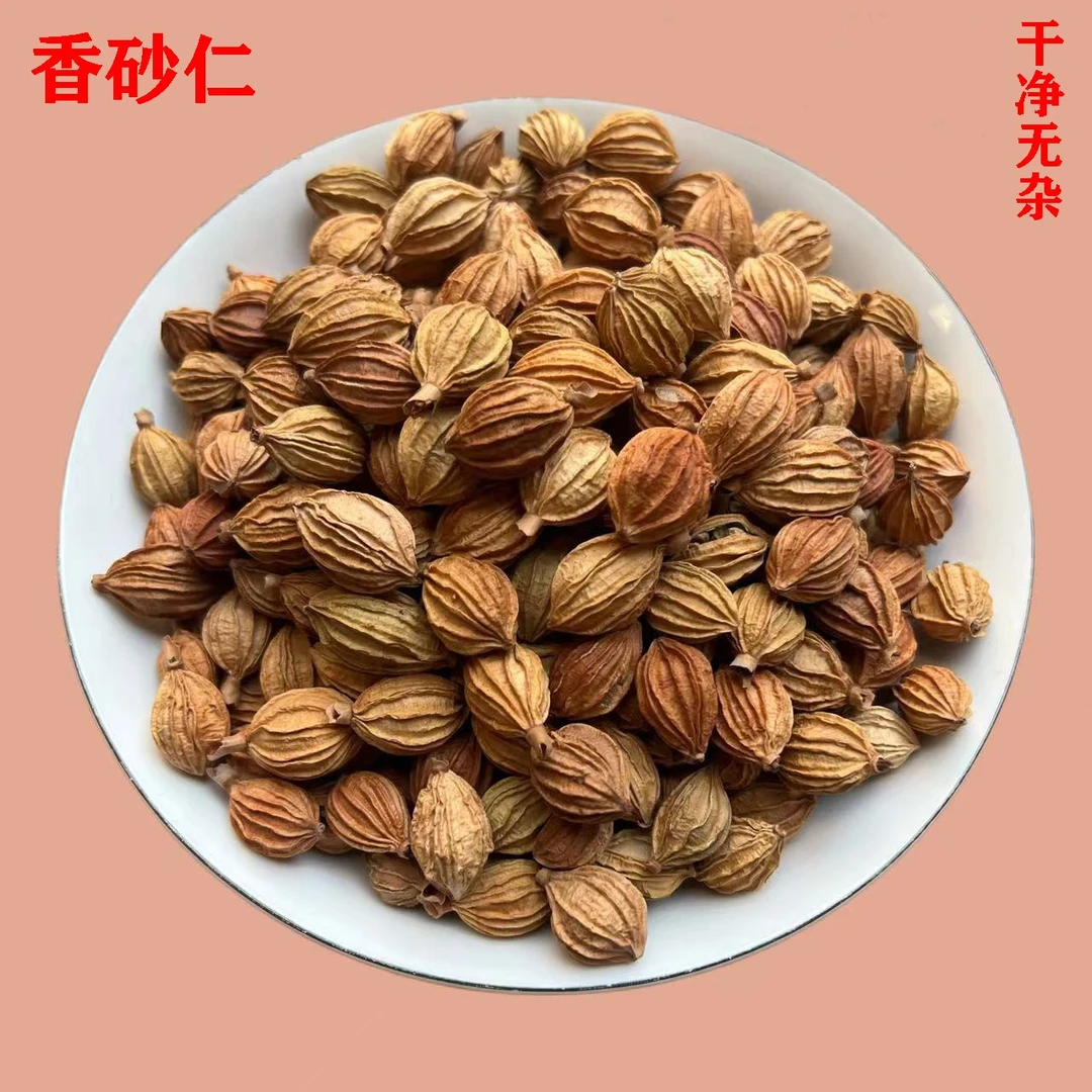 香砂仁川砂仁炖汤卤肉炒菜香料新货砂仁火锅炒鸡商用调料大料批发