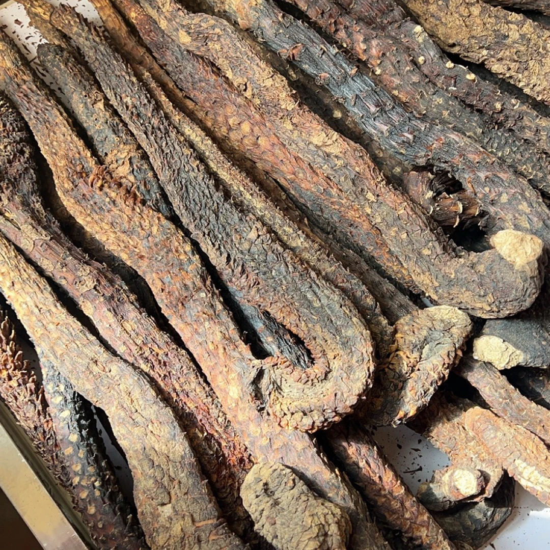 阿拉善巴丹吉林荒漠肉蓉整根中药材产地直销正宗正品