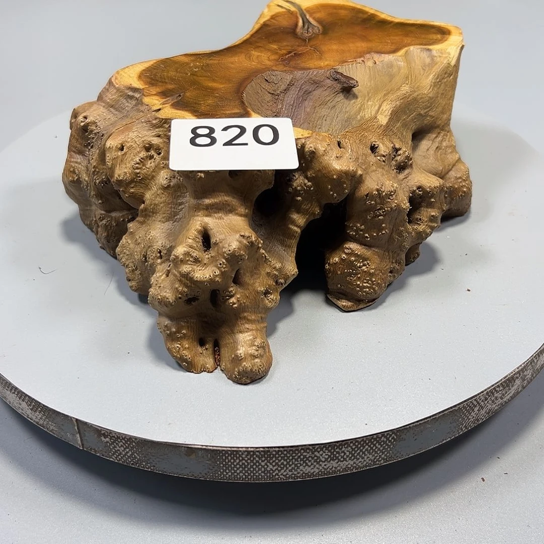 大果紫檀（缅甸花梨）风**舟