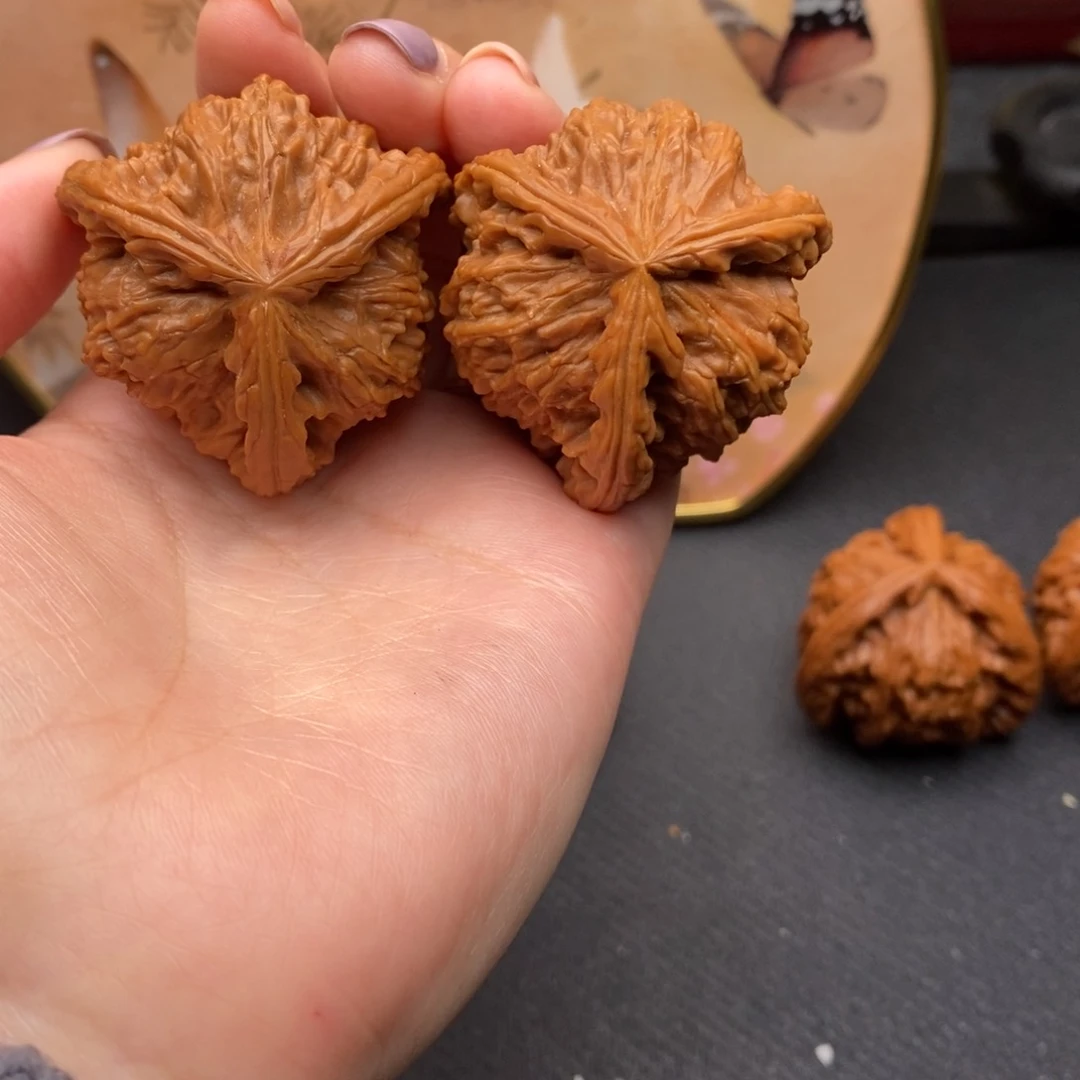 被***爱白狮子1111111111