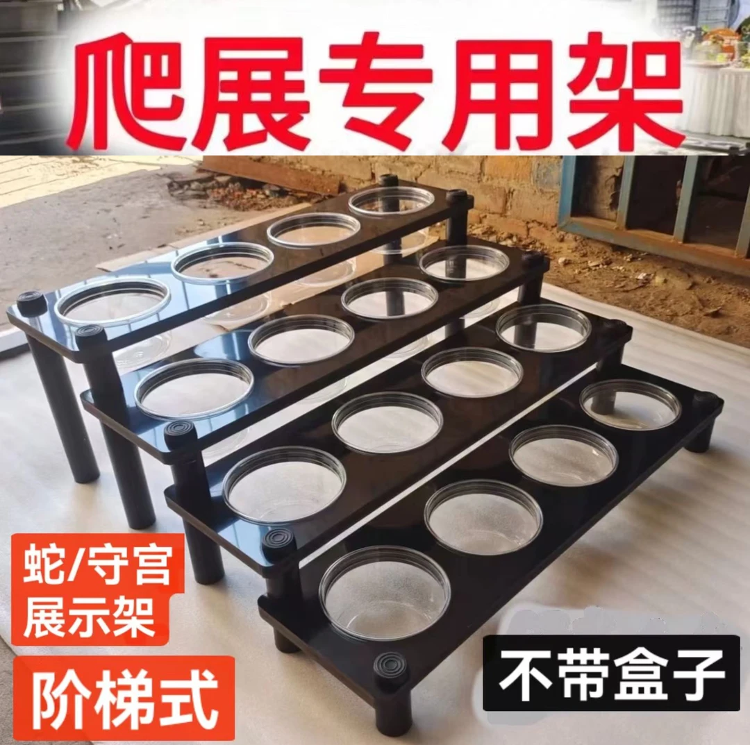 爬宠展示架爬展专用架16位32位