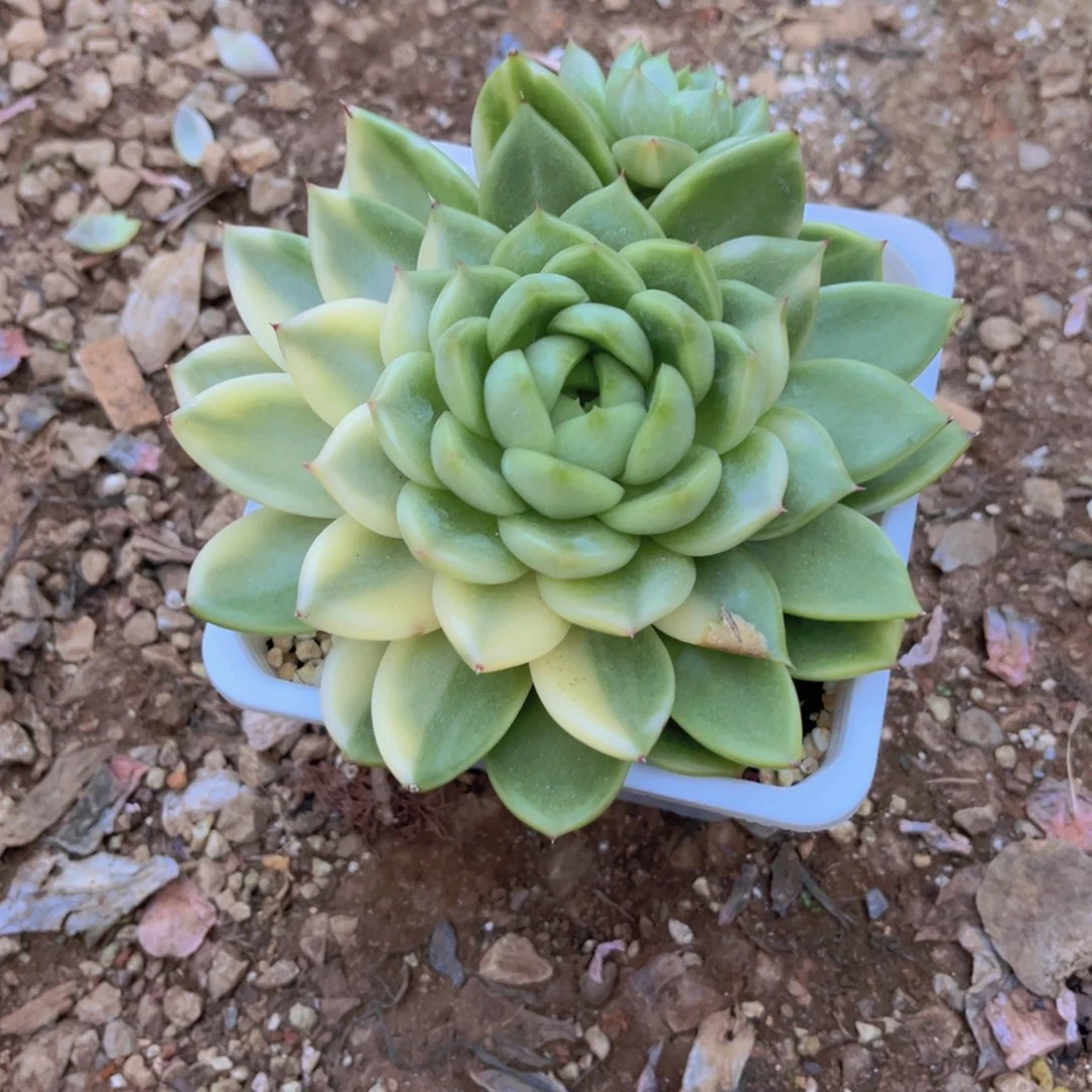 李***.李某99999009999999