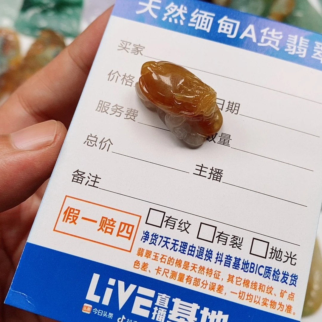 颈饰未镶嵌翡翠龙龟