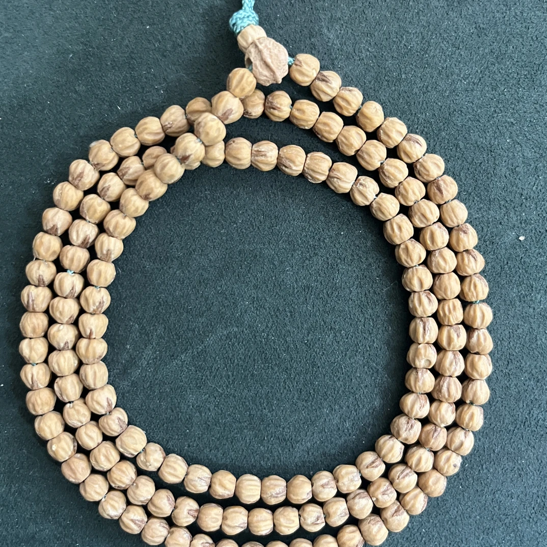 百香红牙小金豆5mm左右尺寸，黄油肉精致小串