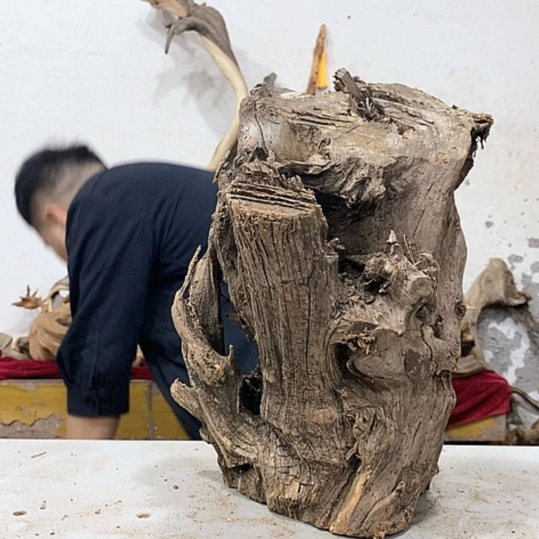 【闪购商品】柏木红*我们的目标就是成为更