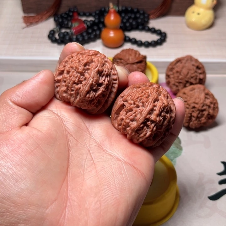 睛***凝白狮子白狮子白狮子