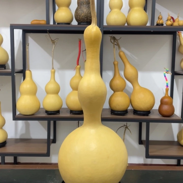 风***淡19肚长嘴厚皮葫芦