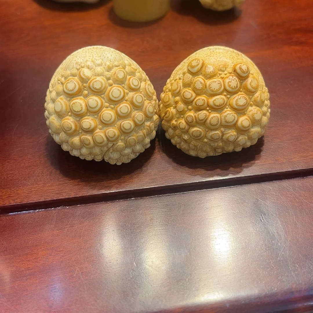 竹梨*朱振华老师家精品悟道