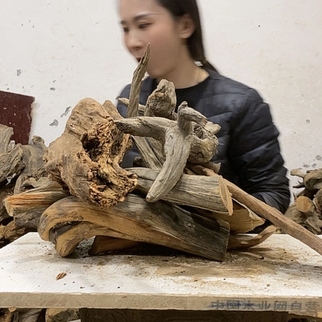 【闪购商品】柏木珍*阁我们都是好孩子