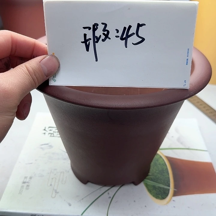 紫砂22222222222222222