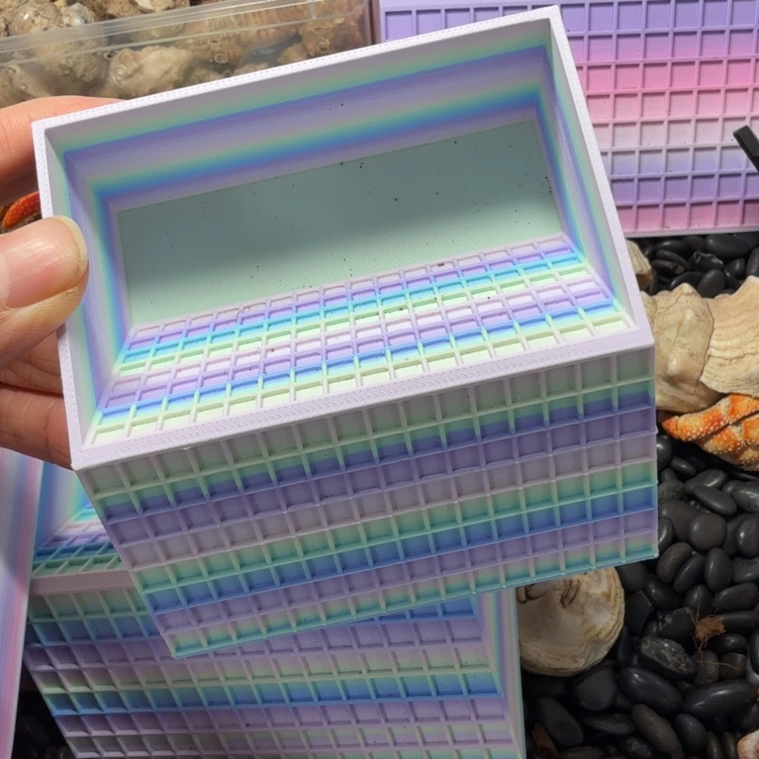 9x9x4马卡龙寄居蟹水盆