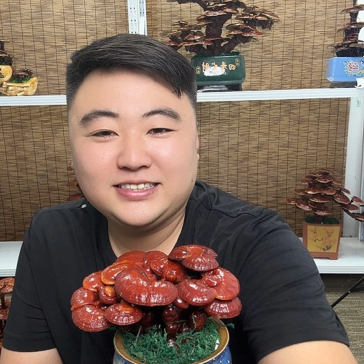无花朵真**金灵芝花开了
