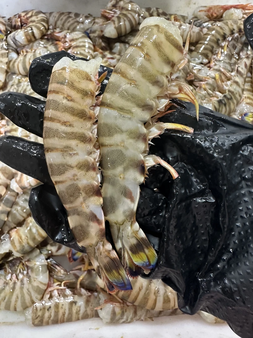 【鲜出海现称竹节虾尾】宁波石浦海鲜东海海捕竹节虾斑节虾虾尾2斤