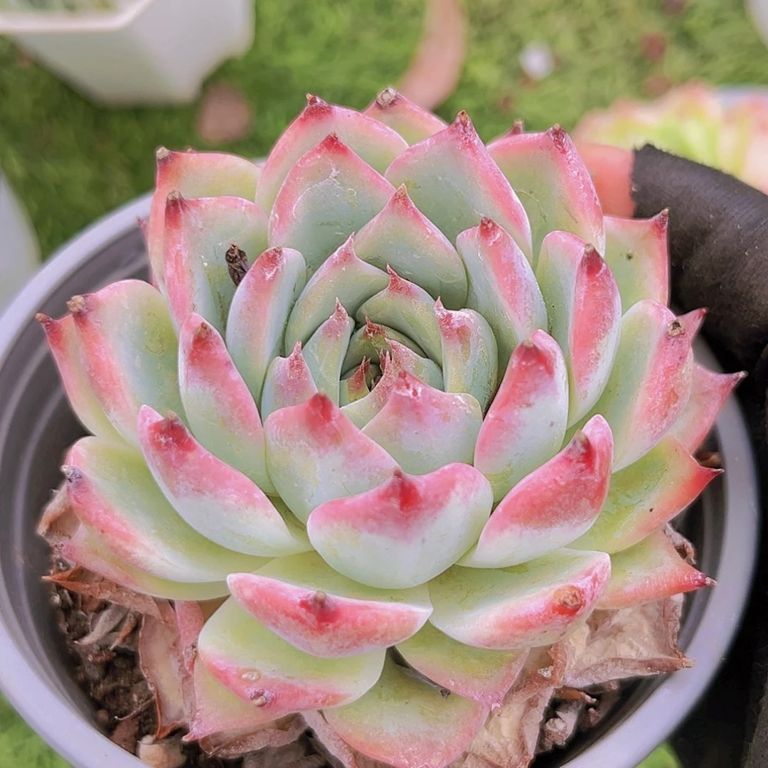 8888888888888888888888