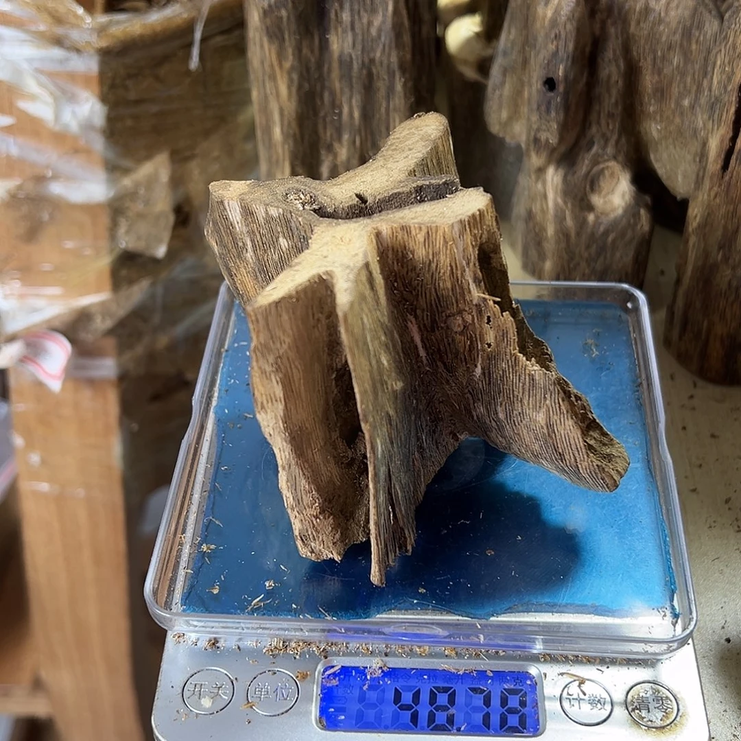 香料绿奇楠虫漏48克乌身