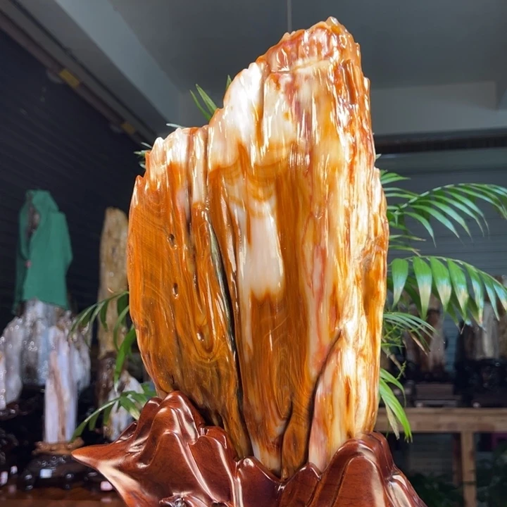 硅化玉（树化玉）未镶嵌珠宝奇石