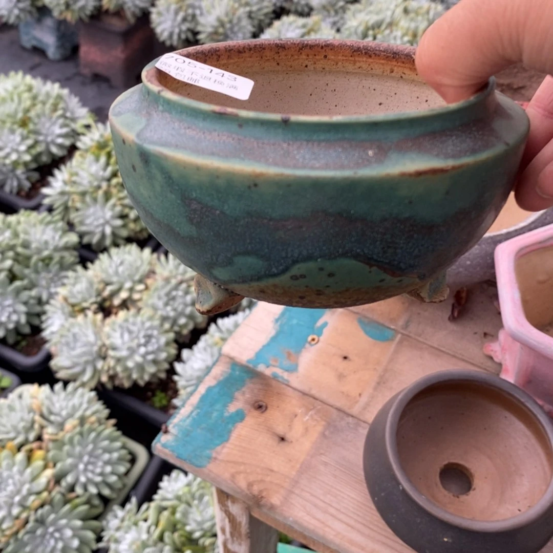 143号多肉盆口径10捌家