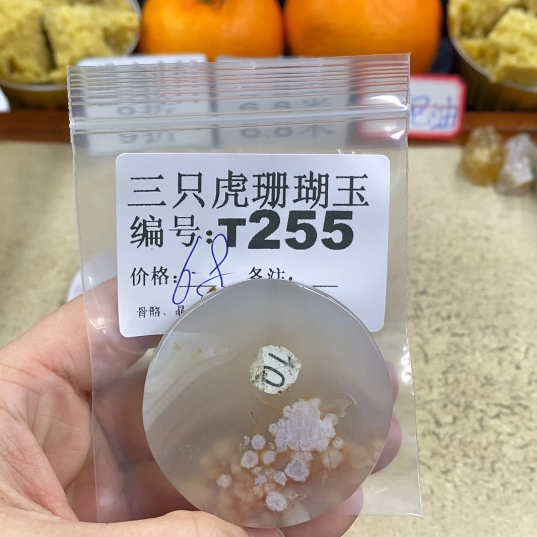 硅化珊瑚（珊瑚玉）1未镶嵌等**久