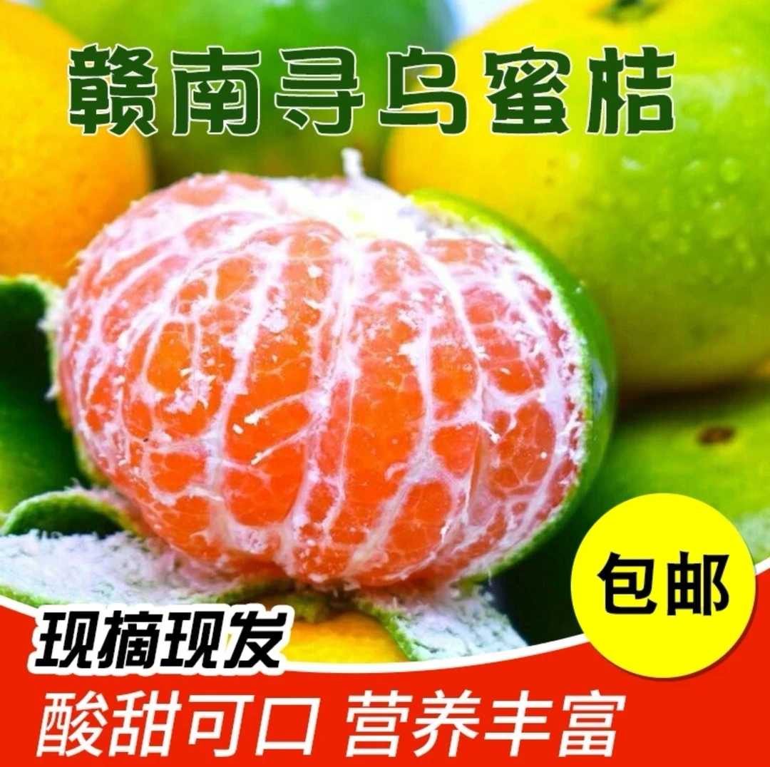 【寻乌蜜桔】江西赣南老树现摘高原特产酸甜孕妇早熟新鲜赣南特产