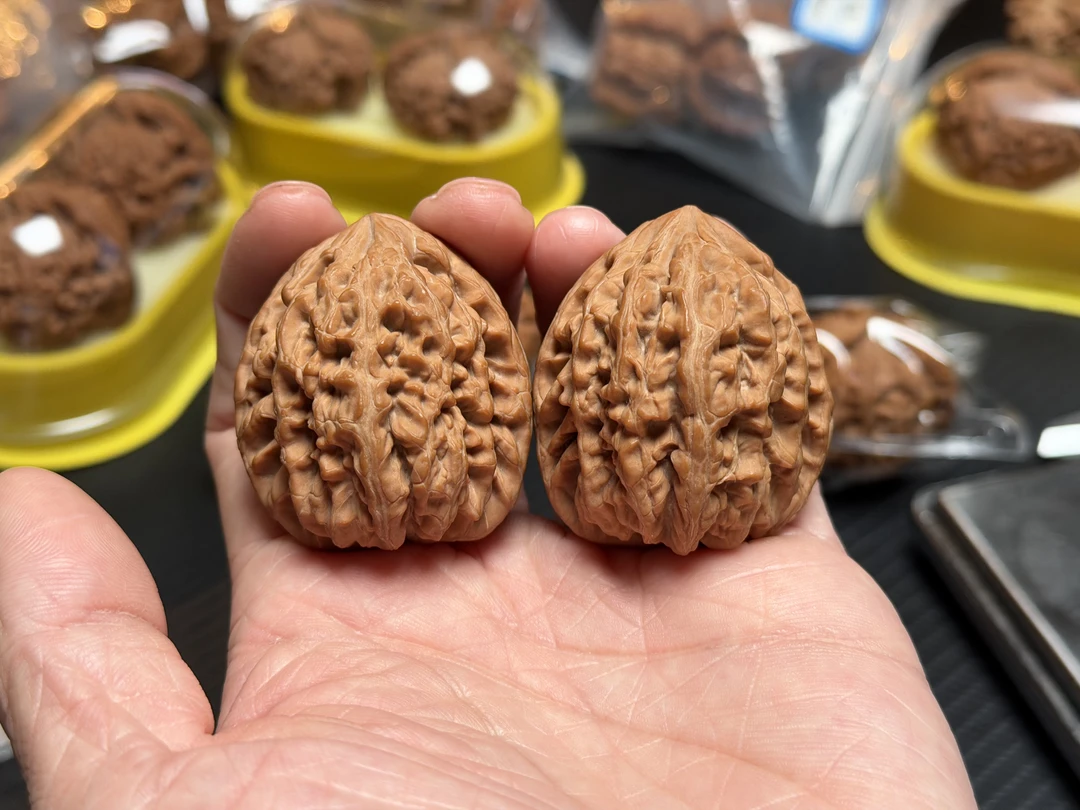 全品头货 三角红锦鲤