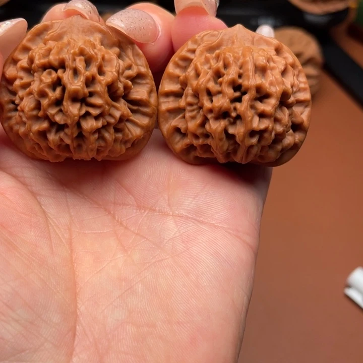 骑***x香榧木秦核等人的故事都是从他