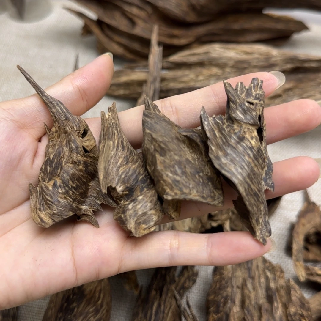 香榧木海南兰花结壳子12克