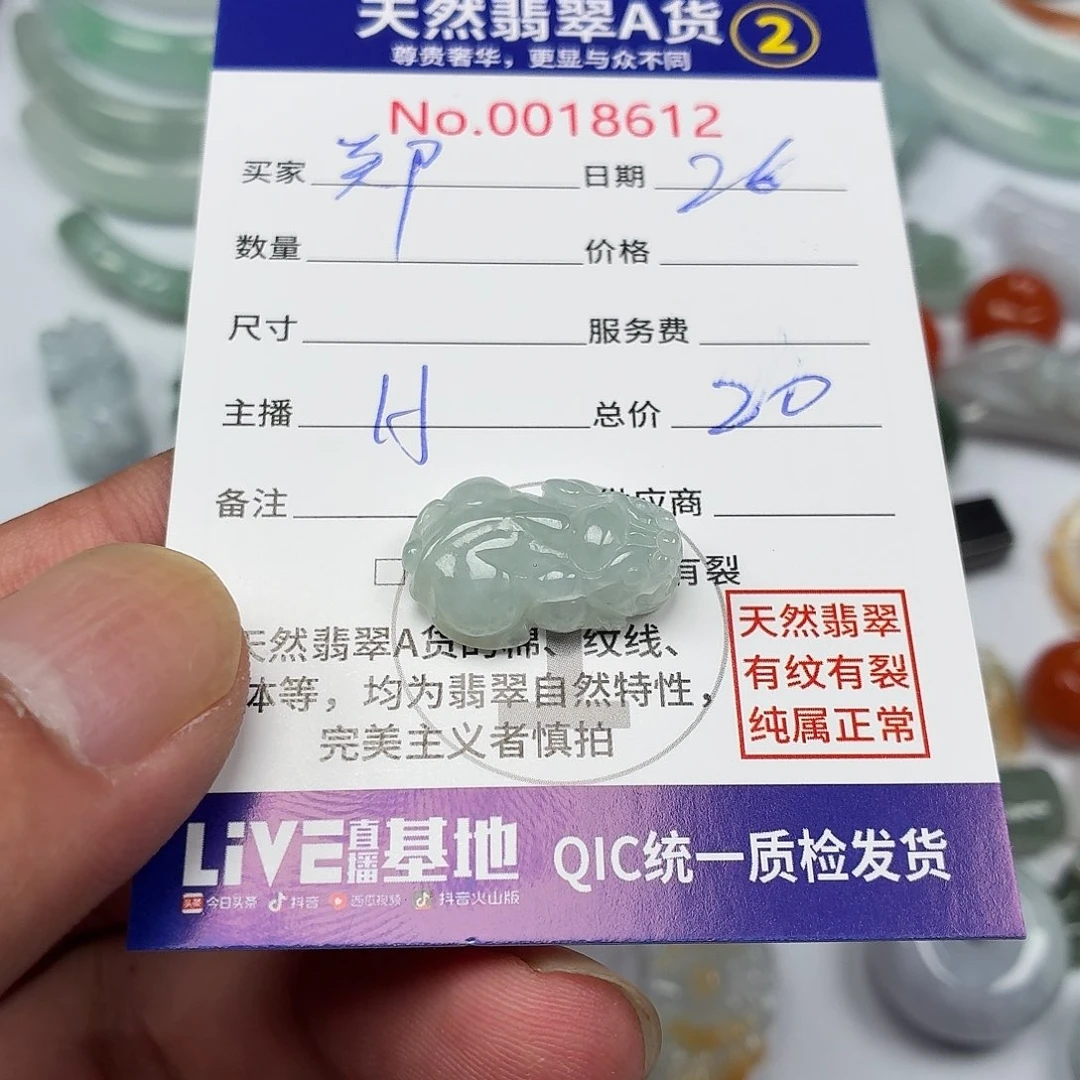 郑***琦翡翠未镶嵌颈饰357773457