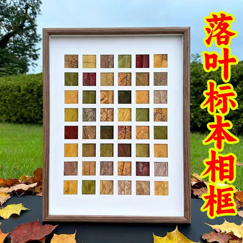 落叶树叶标本相框diy秋天叶子收集48宫格画框装饰画桌面摆件创意