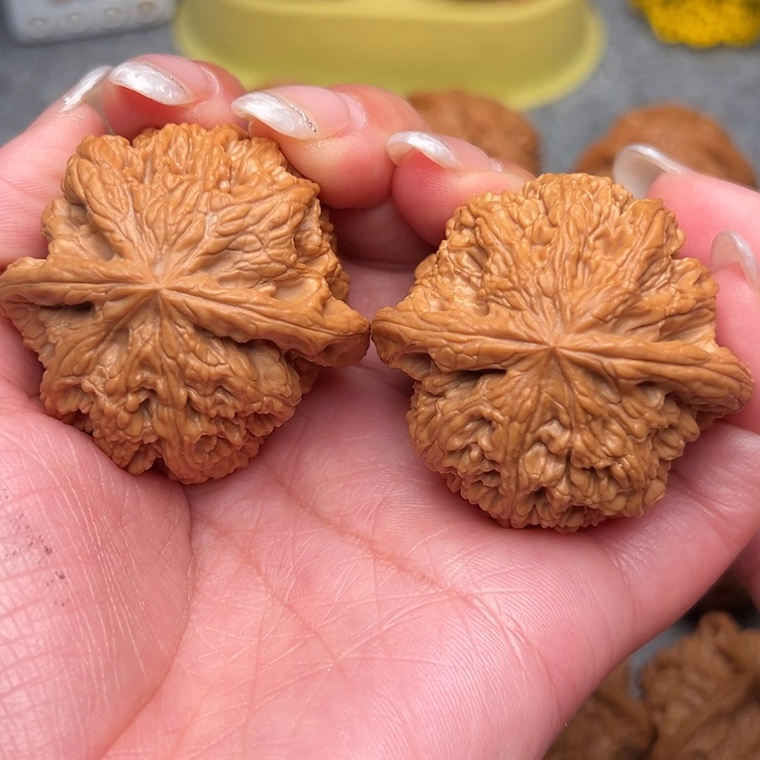 把件文玩核桃毕业大粗筋45全品