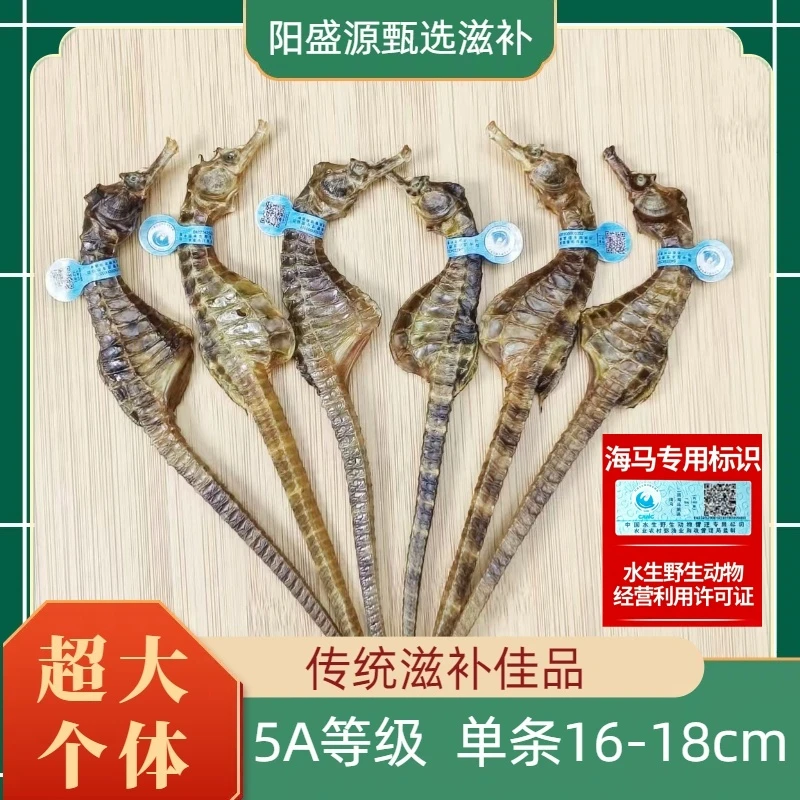 【正品带溯码】海马干货公母搭配海马泡酒专用海马海马公母一对正品