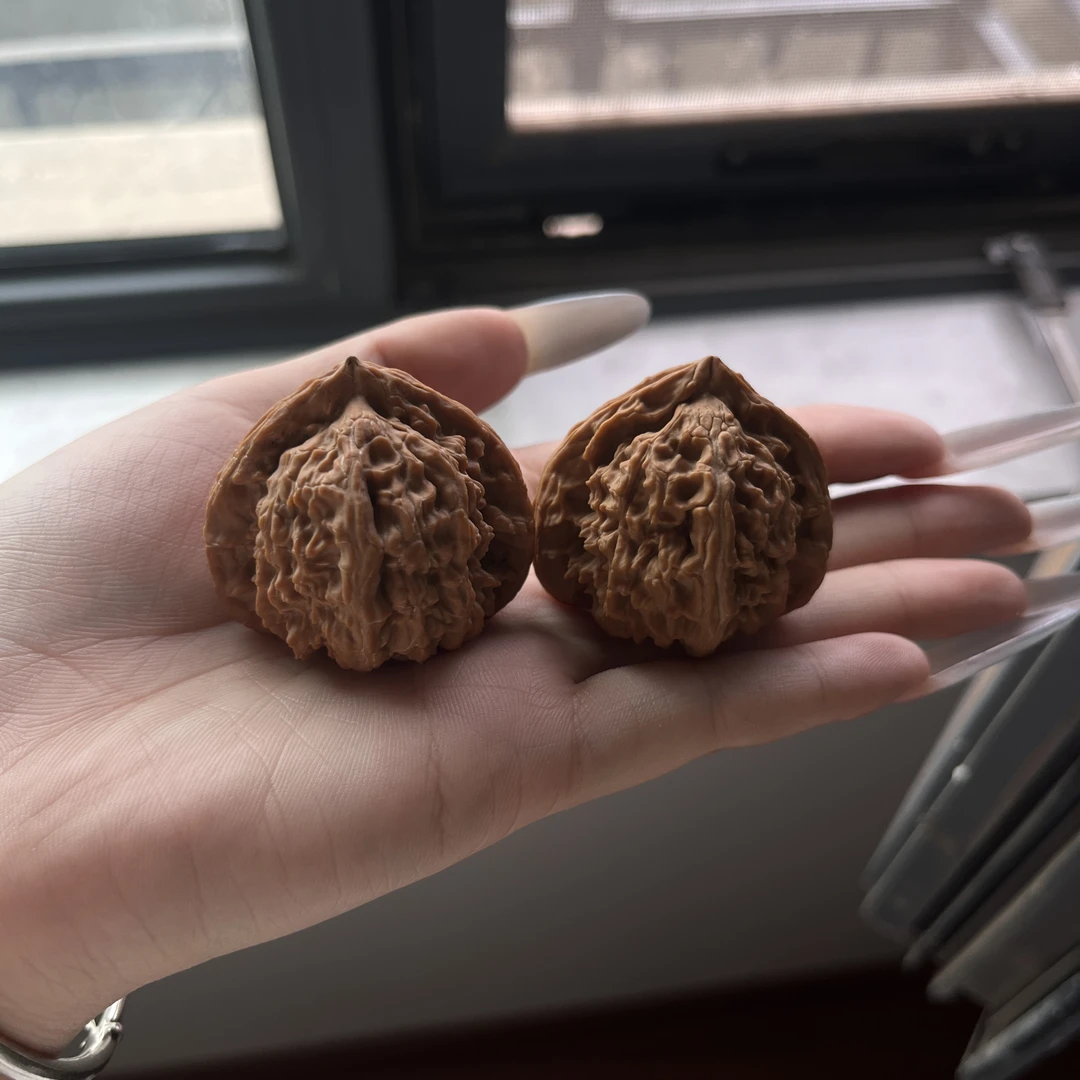 褐色皮质老树王高油高密子