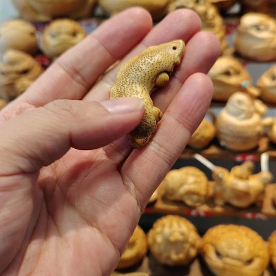 竹竹钉籽四季豆福豆