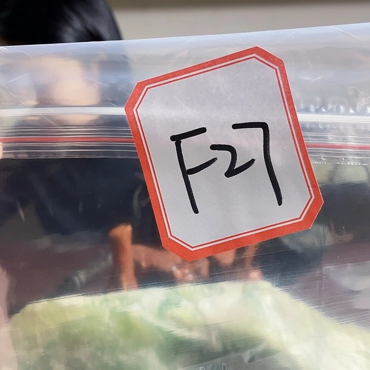 心***友蛇纹石玉未镶嵌纯天然岫玉