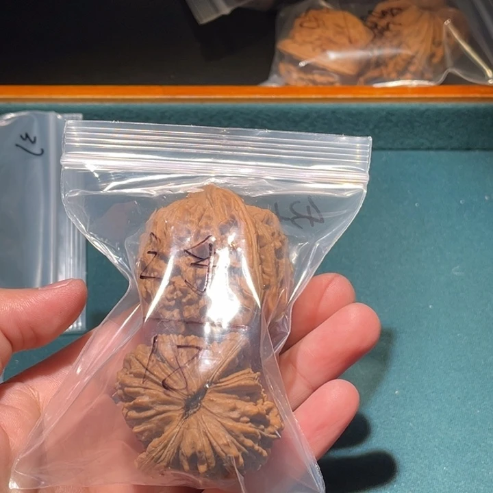 ʚ****文玩核桃把件43楼子