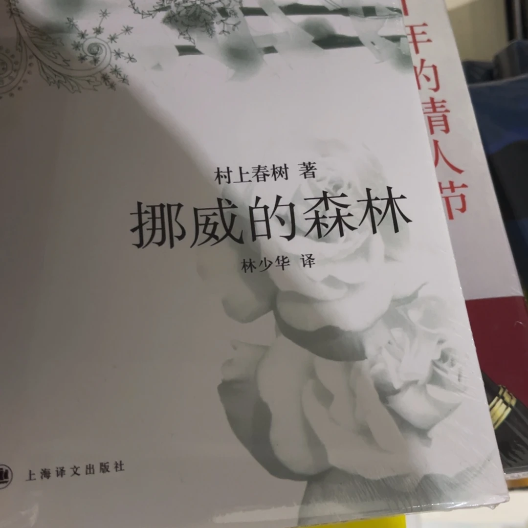 挪威的森林精装一个