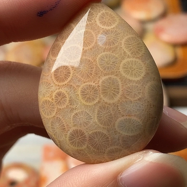 y***o硅化珊瑚未镶嵌颈饰