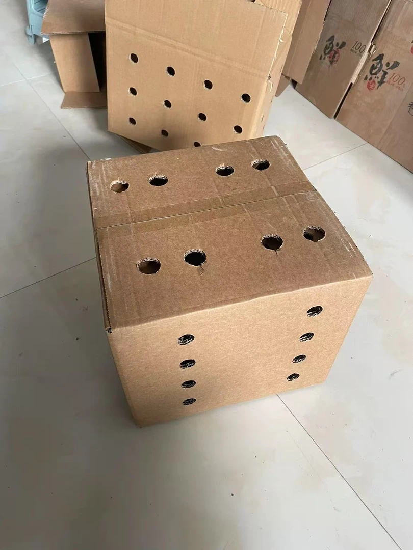 纸箱收纳家庭收纳