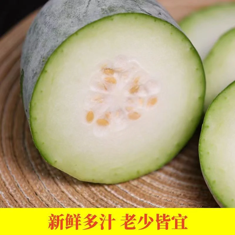 【冬瓜】现摘现发冬瓜农家迷你小冬瓜毛冬瓜新鲜蔬菜当季新鲜蔬菜