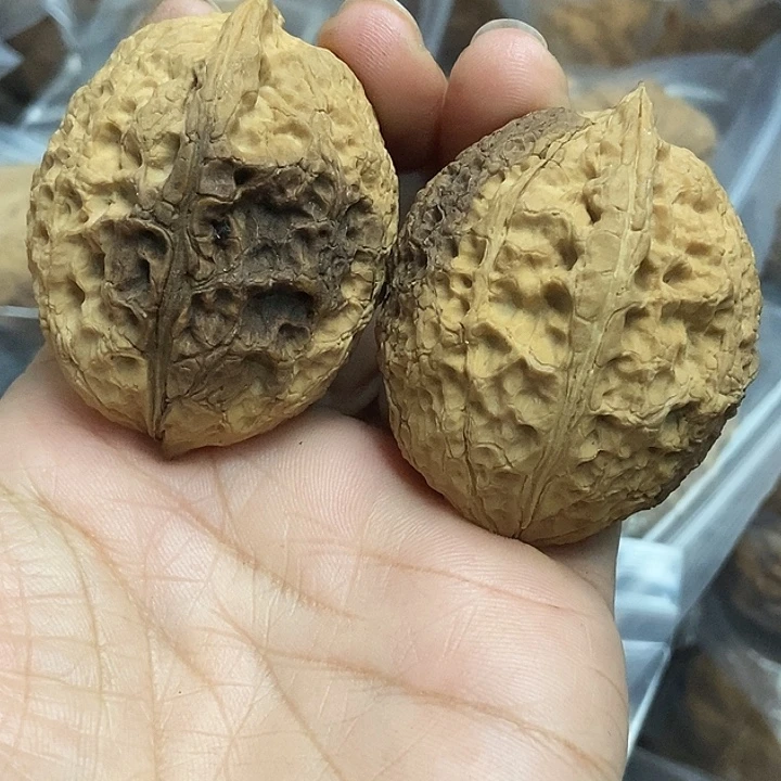 木质类云南铁核桃+7