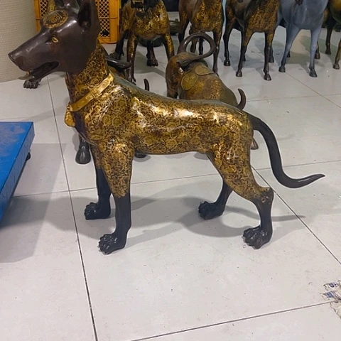 预*向前看哈哈哈哈哈哈哈