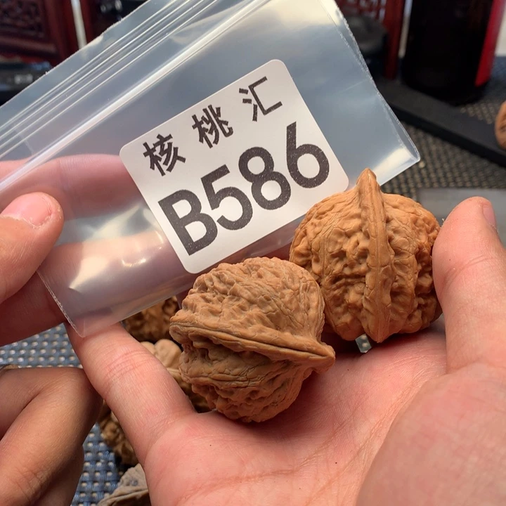 真***错吊坠文玩核桃赤龙