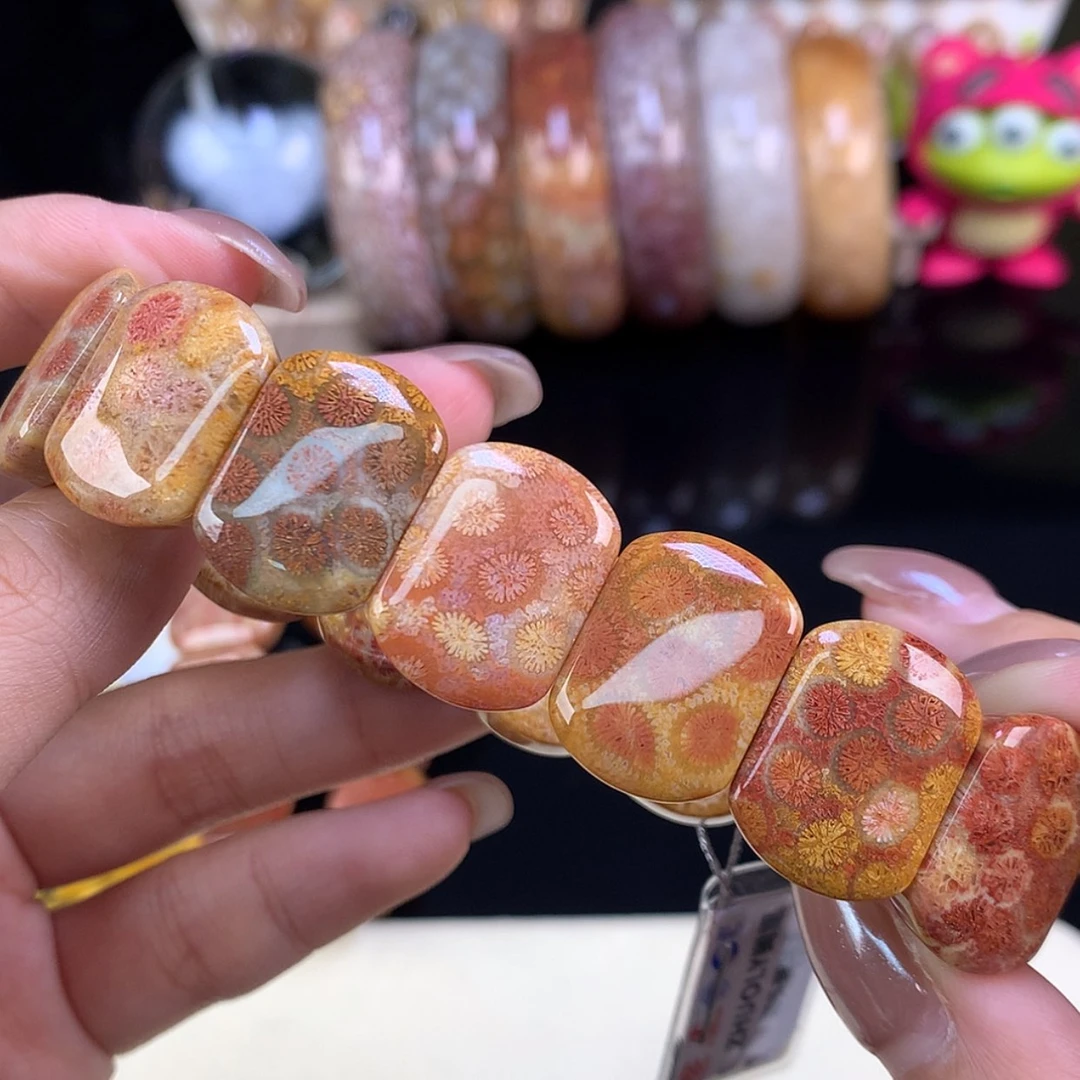 【闪购商品】颈饰未镶嵌硅化珊瑚（珊瑚玉）晚场上新手牌（30号）