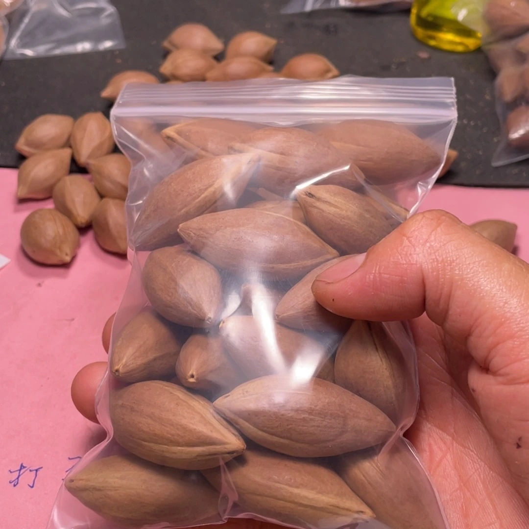 小*洋不退不换assaass